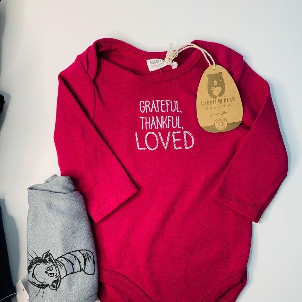 Rabbit Bear Organic Baby Girl Bundle Outfit